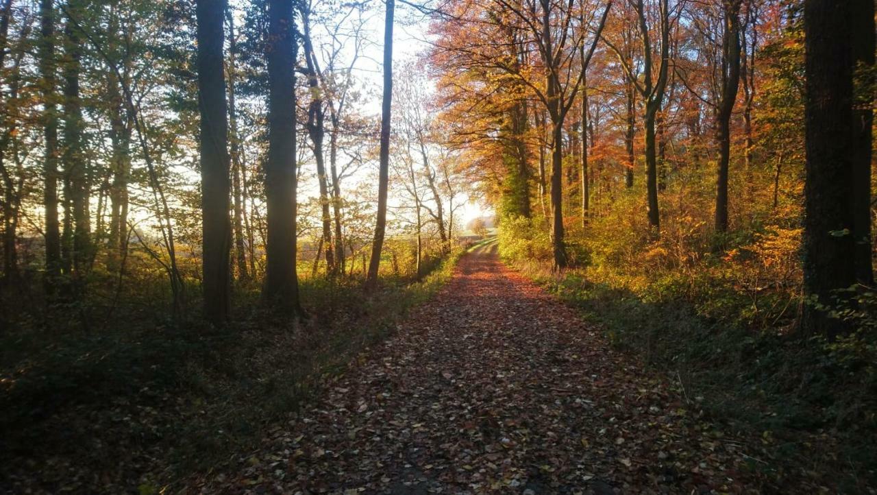 Vila Petit Bonheur Oudenaarde Exteriér fotografie