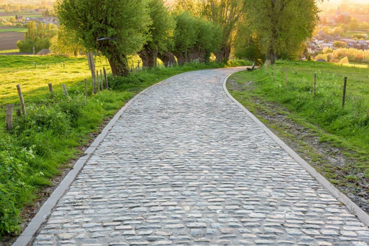 Vila Petit Bonheur Oudenaarde Exteriér fotografie
