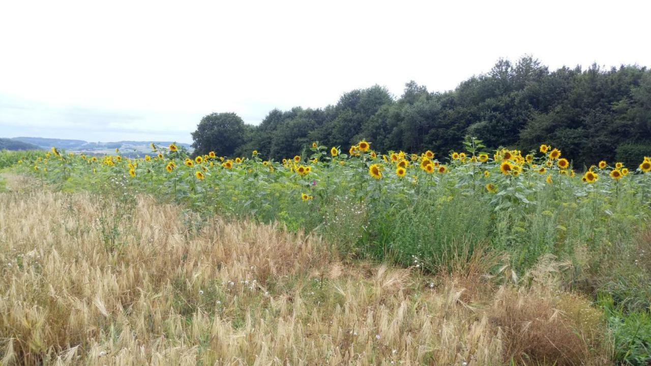 Vila Petit Bonheur Oudenaarde Exteriér fotografie
